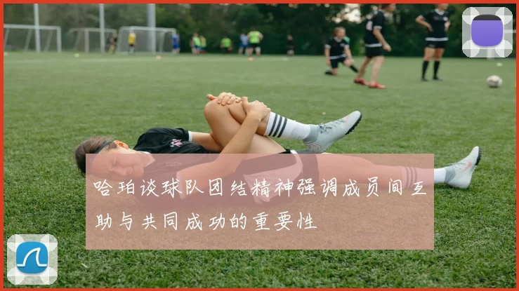 哈珀谈球队团结精神强调成员间互助与共同成功的重要性