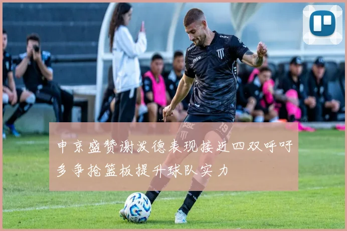 申京盛赞谢泼德表现接近四双呼吁多争抢篮板提升球队实力