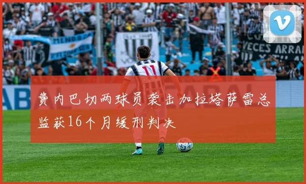 费内巴切两球员袭击加拉塔萨雷总监获16个月缓刑判决