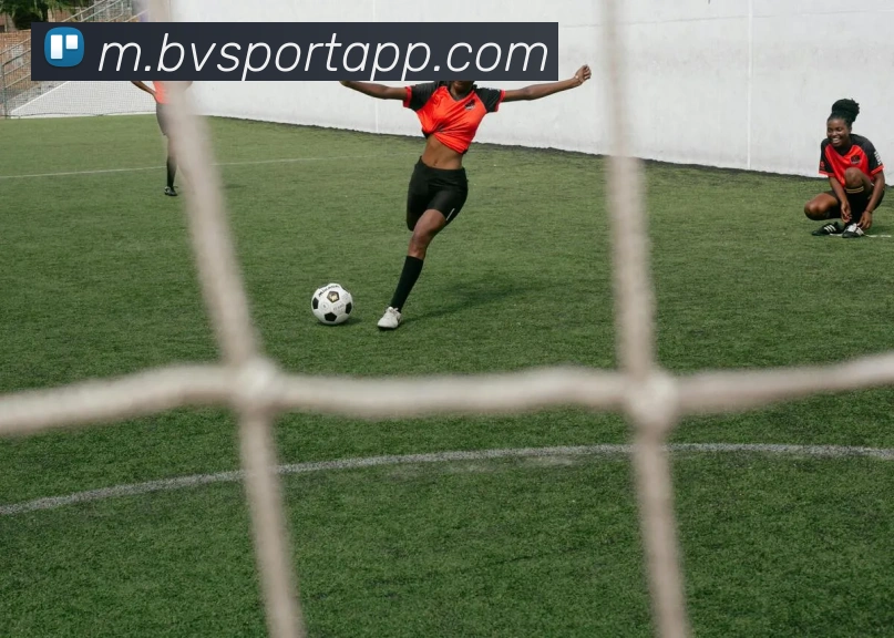 多媒体互动体验