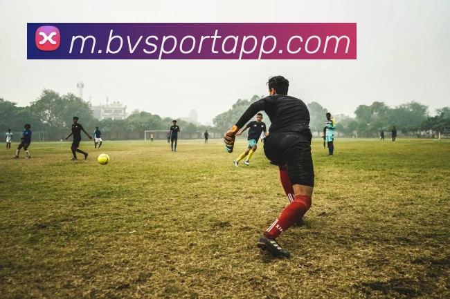 宝威体育APP 高清赛事图